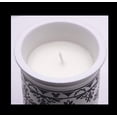 thumbnail image 2 of Disney Parks Hidden Mickey Homestead Collection Scented Candle, 2 of 4