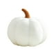thumbnail image 1 of Cojín de calabaza de Halloween | Cojín de calabaza realista y suave para decoración del hogar, sofá, cama y fiestas | Regalo para niños y adultos, 1 of 1