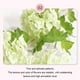 thumbnail image 4 of Flores artificiales de hortensia simulada Moyic 2 unids/set blanco verde 60 cm, 4 of 6