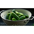 thumbnail image 5 of Sweet Burpless Cucumber Seeds/ Annual/ Full Sun/ 3800 Seeds 1/4lb/ Zellajake Farm and Garden- B48, 5 of 5