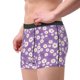 thumbnail image 2 of Fotbe Daisies Flowers Calzoncillos Tipo Boxer con Bolsa de Soporte Total para Hombre, X-Temp Fresco, Transpirable y de Secado Rápido-X-Large, 2 of 5