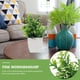 thumbnail image 5 of 4 piezas de plantas artificiales de escritorio para decoración del hogar, 5 of 6