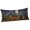 Indigo,Amber,Tangerine,Charcoal, variant on Halloween Body Pillow Cover,Pillowcase Protectors with Zipper,Breathable Decorative Throw Pillow Case Cover,Fall Spooky Pumpkins Cats Bats Haunted-House Rustic Pillow Shams for Couch Sofa 20x54Inch