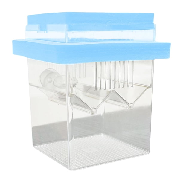 Caja de aislamiento flotante Caja de reproducción de peces pequeños deslizamientos deslizantes deslizantes para pescado betta guppy, huevo de Azul