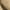 Khaki, variant on Timegard Womens Summer Tops Short Sleeve V-Neck Solid Color Comfy Basic Tee Casual Loose Shirts Tops