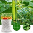 thumbnail image 5 of Easy to Install and Adjust, Space Saving Design, 1.67m x 10m Blanc Trellis, Reduces Damage from Pests, Reusable and Versatile, Heavy-Duty Nylon String Net, 5 of 5
