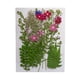 thumbnail image 1 of Advancent Artesanía de flores secas naturales Flores prensadas Ramos en relieve Decoración para tarjetas de boda Pintura de álbum de recortes Flores artificiales Typ 1 Advancent HA010760-01, 1 of 6