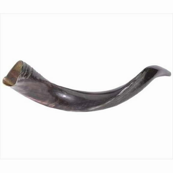 Holy Land Gifts 4884 Shofar Yemenite Mini 20 In. 22 In.
