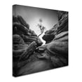 thumbnail image 2 of Trademark Fine Art Landscape Canvas Art ' Struggle ' by Sainty, 2 of 3