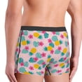 thumbnail image 4 of Rateoe Pineapple And Leaves Mens Boxer Briefs Poly Spandex Performance Boxer Briefs Underwear Hem Boxer Briefs - Medium, 4 of 8