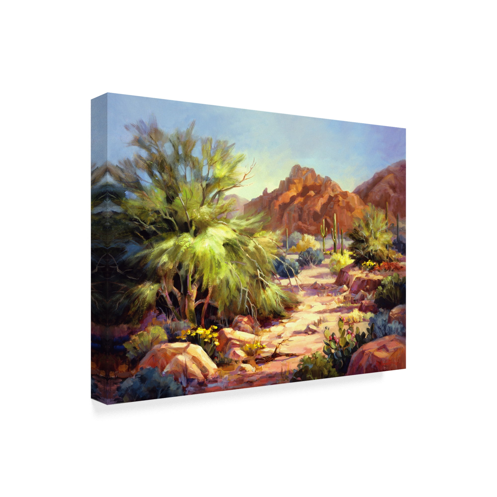 Trademark Fine Art 'Desert Beauty' Canvas Art by Maxine Johnston