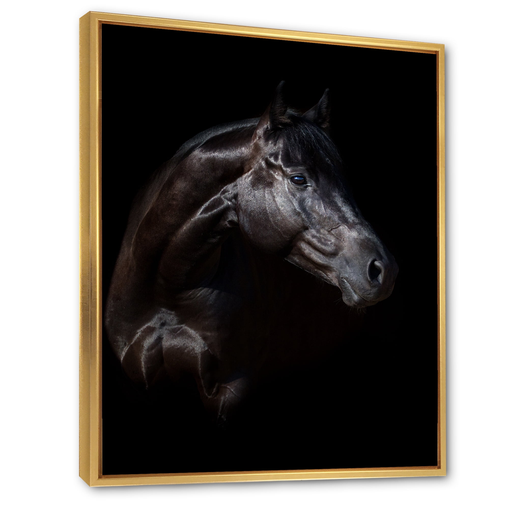 Silhouette Of Horse and Woman 30 in x 40 in Framed Photography Canvas Art Print, by Designart