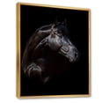 thumbnail image 4 of Silhouette Of Horse and Woman 24 in x 32 in Framed Photography Canvas Art Print, by Designart, 4 of 5