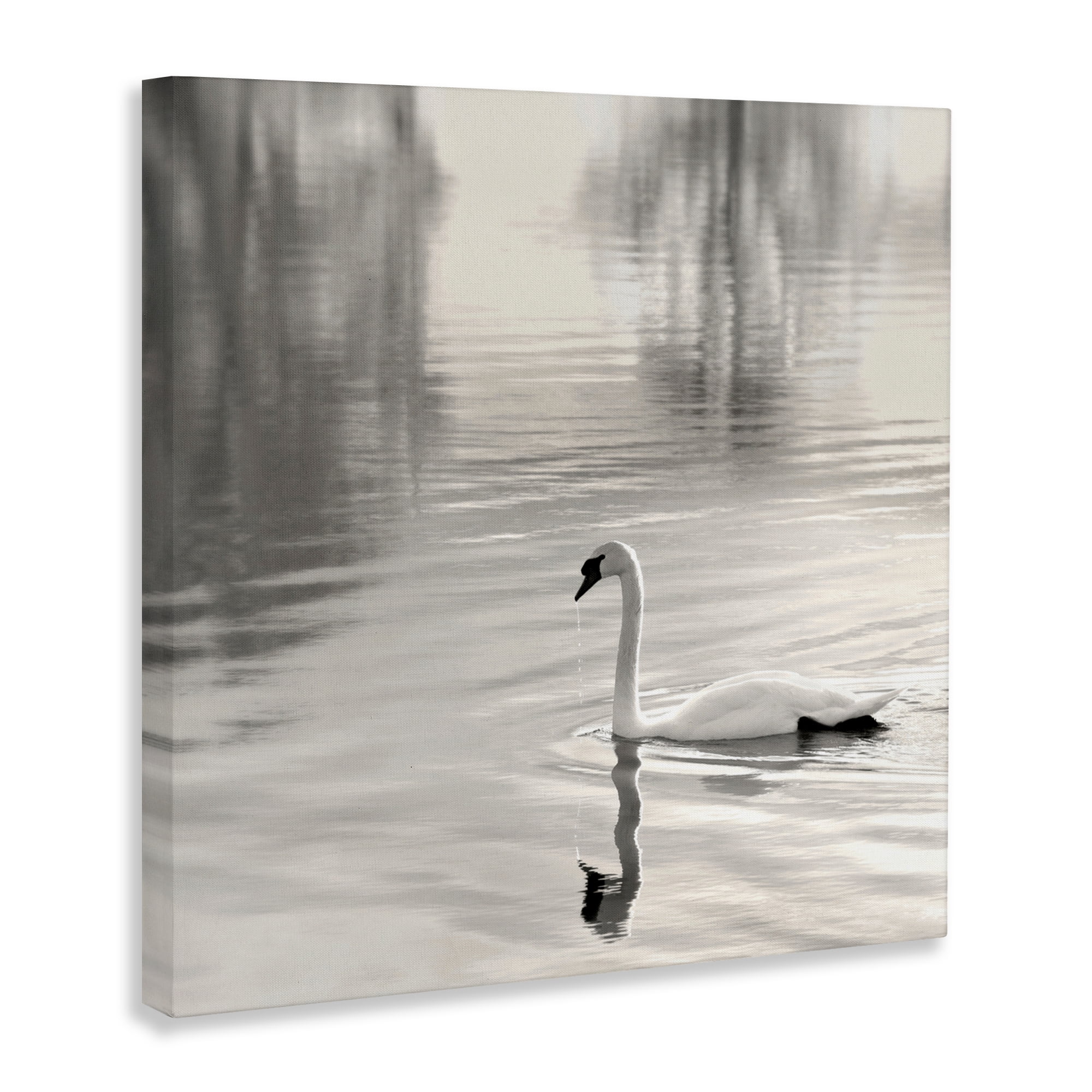 Stupell Industries Morning Sunlit Swan Canvas Wall Art, design by Nicholas Bell