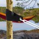 thumbnail image 5 of Correas para árboles para estacar: correas resistentes para tocones con ojales, lazos de protección contra huracanes con diseño bien pensado para enderezar árboles, 5 of 5