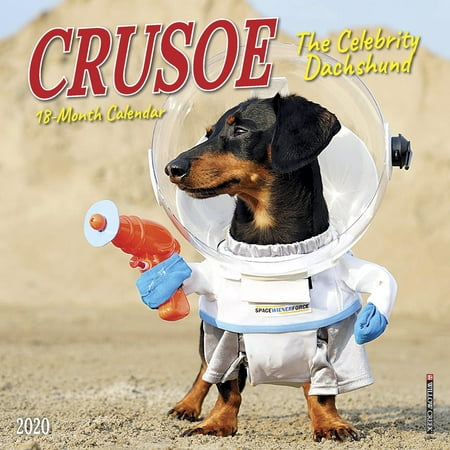 Crusoe the Celebrity Dachshund 2020 Mini Wall Calendar (Dog Breed Calendar)
