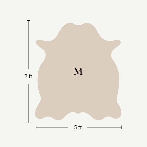 5' x 7'