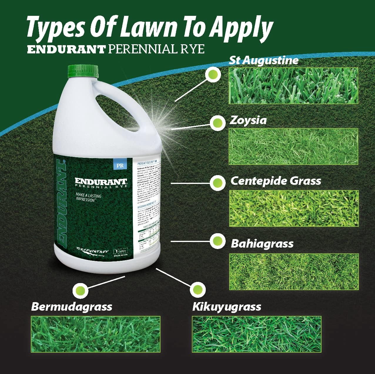 Endurant Turf Colorants - Perennial Rye Spray Green Grass Paint For Lawns - Revives Dry, Patchy Yards - Light Grass Hue - Easy To Use, Concentrated Turf Grass Dye - Covers Approx 10,000 Sq Ft - 1 Gal