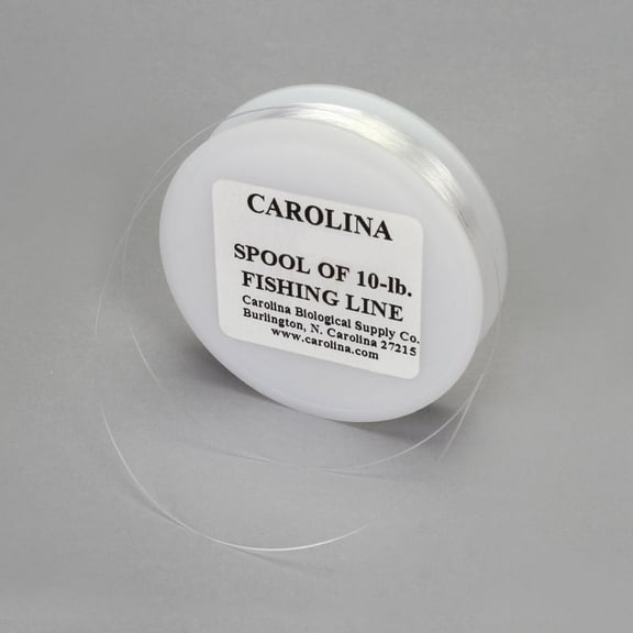 Clear Fishing Line, 10-Lb Test, 60 Ft
