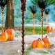 thumbnail image 1 of Jack O Linterna Calabaza De Halloween Linterna Con Pilas Jack O Linterna Llama Encendida Calabaza Favor De Fiesta Para La Decoración Del Hogar De Halloween ANGGREK Halloween Pumpkin Lantern, 1 of 8