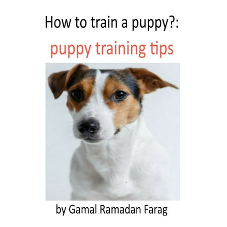 How To Train A Puppy?:Puppy Training Tips - eBook