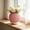 Pink, variant on Two Tone Woven Texture Plastic Flower Pot with Saucer - Modern Dual Color Decorative Planter for Succulents Cactus Bonsai Small Plants, Lightweight Indoor Outdoor Home Office Desktop