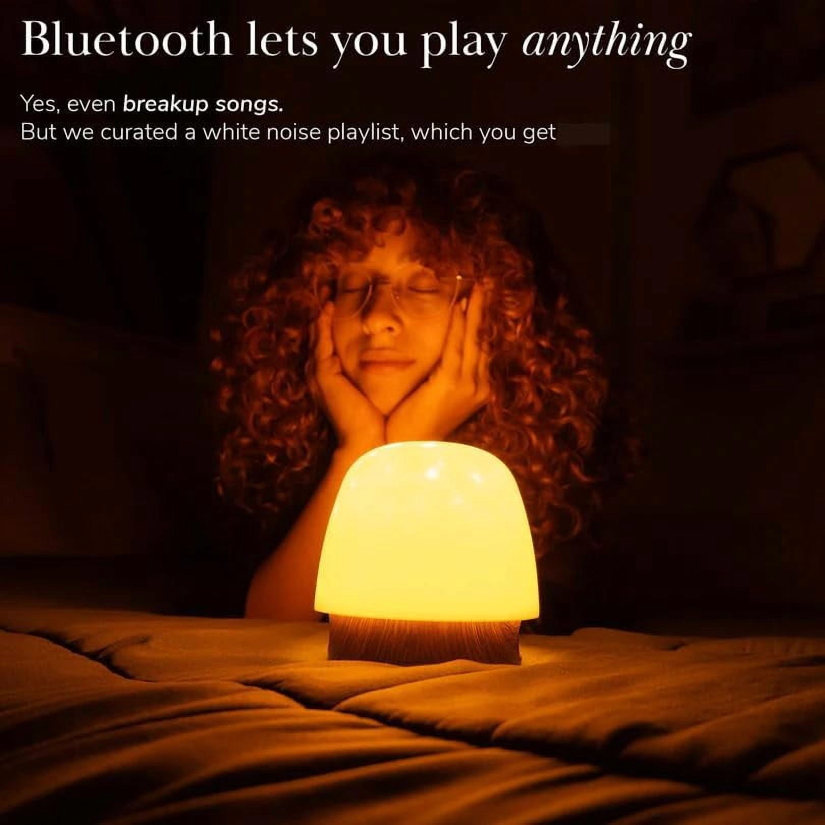 Lunie Lamp - Night Light & Bluetooth Noise Machine, Withlunie Lamp, Ocean Wave Projector Light With Speaker, with Lampshade & Remote Control,4 White Noise/16 Color Dimming/Touch Style (2pc A)