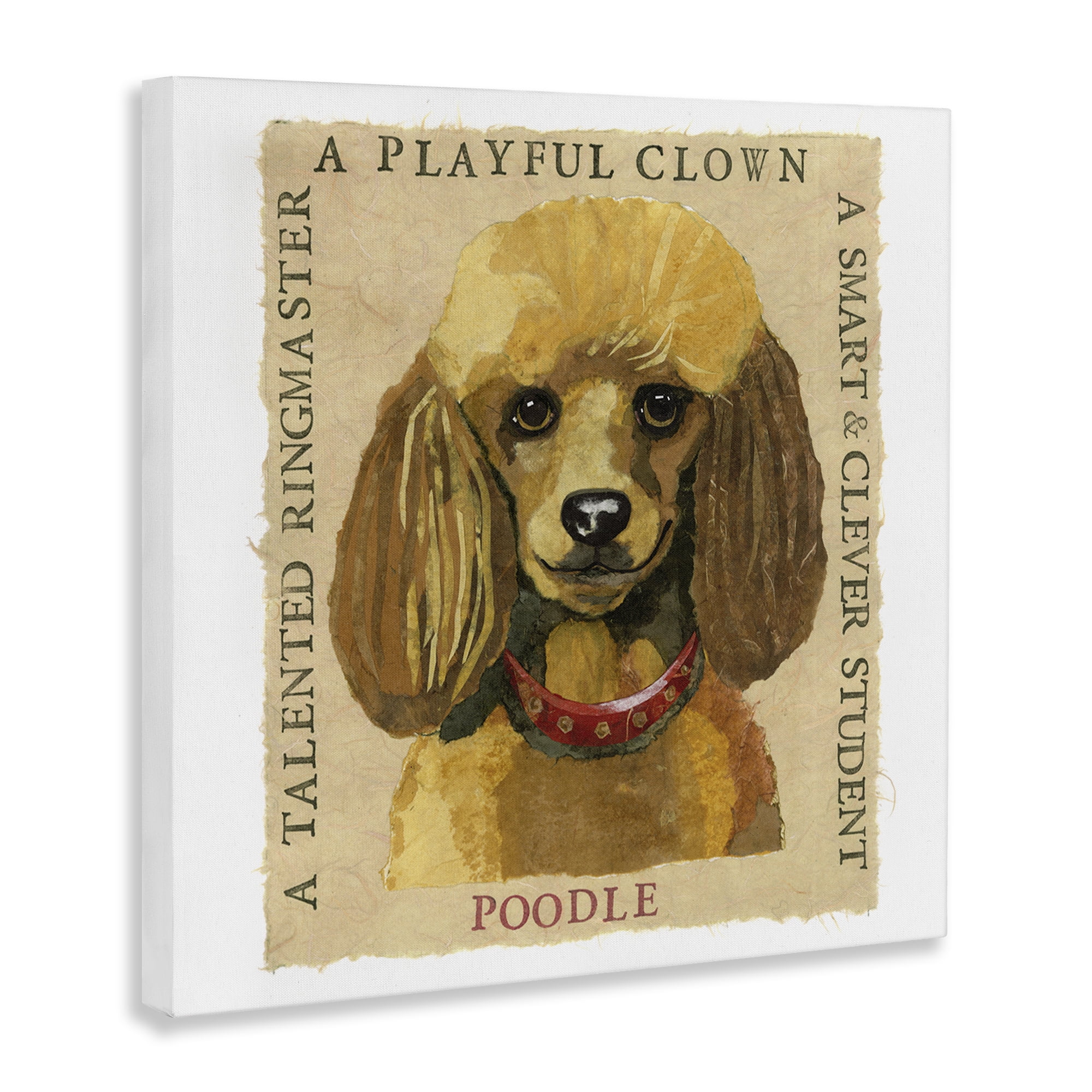 Stupell Industries Fun Poodle Pet Phrases Animals Painting Wrapped Canvas Art Print Wall Art, 36 x 36