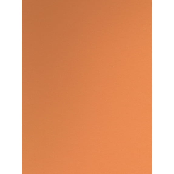 Colorline Heavyweight Paper Sheets leather, 300 gsm, 19 in. x 25 in. (pack of 10)