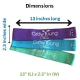 thumbnail image 2 of Grow Young Fitess Premium Exercise Bands - 3 Resistance Bands + 1 Storage Bag, 2 of 6