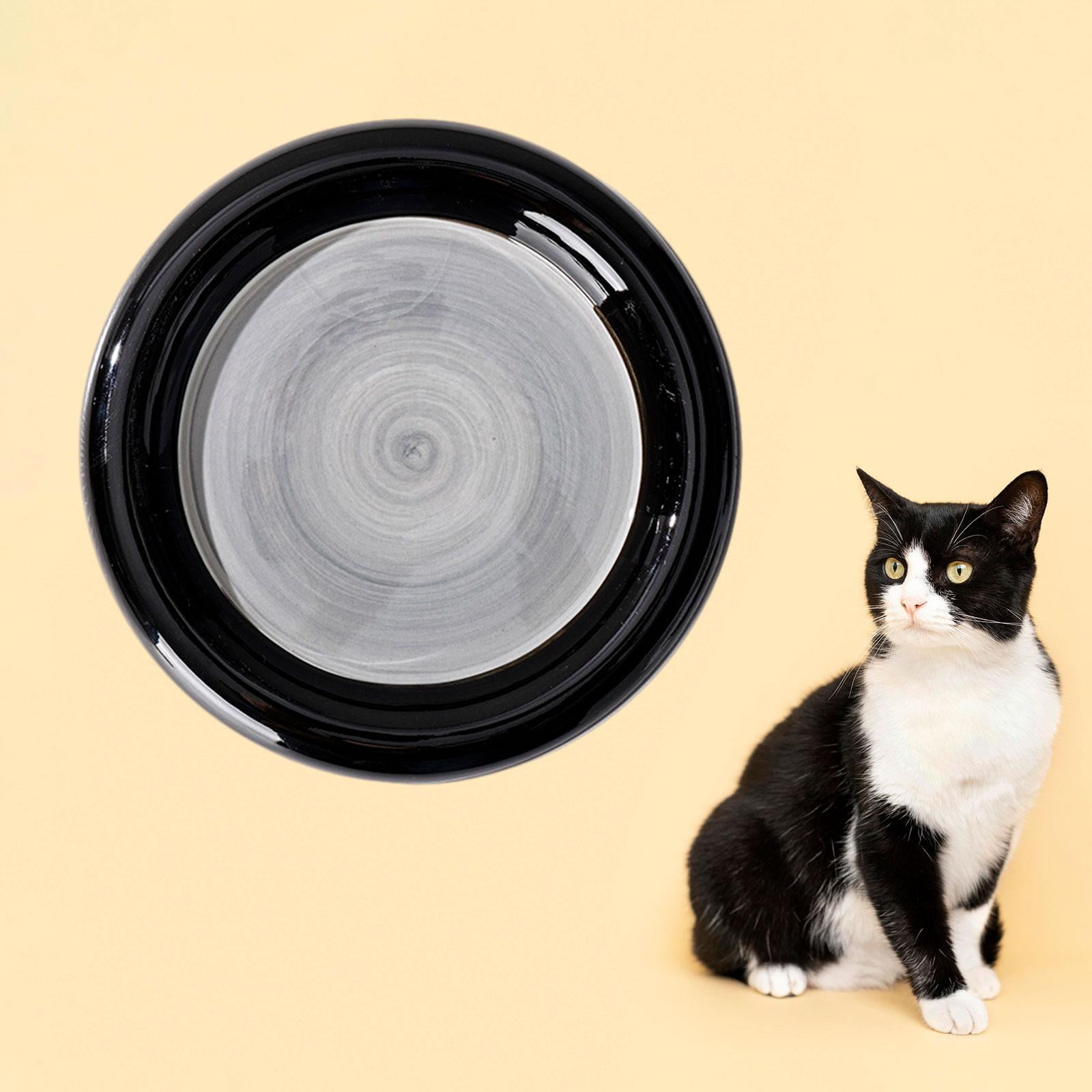 Ceramic Cat Bowl Wide and Flat Dish Durable Stable Cat Food Dish Cat Plates for Small and Medium Pet Cats Small Animals Puppy , Round Large