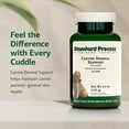 thumbnail image 3 of Canine Dermal Support Standard Process Inc. 125 g Skin Health, 3 of 7