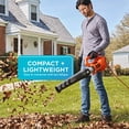 thumbnail image 5 of Soplador de hojas BLACK+DECKER BEBL750 eléctrico con cable 9A, 5 of 5