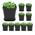 thumbnail image 1 of Plastic Plant Pot Planter Flower Nursery Seedlings Pots Plant Containers, 1 of 1