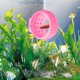 thumbnail image 5 of Adorno para pecera Betta Rest, acuario con ventosa, adecuado para tanque, hábitat de peces, escondite, decoración acuática, 5 of 5