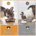 thumbnail image 3 of 2025 Wellbro Pet Bowl , 2 Pcs Stainless Steel Cat Bowls for Food and Water, 3 of 5