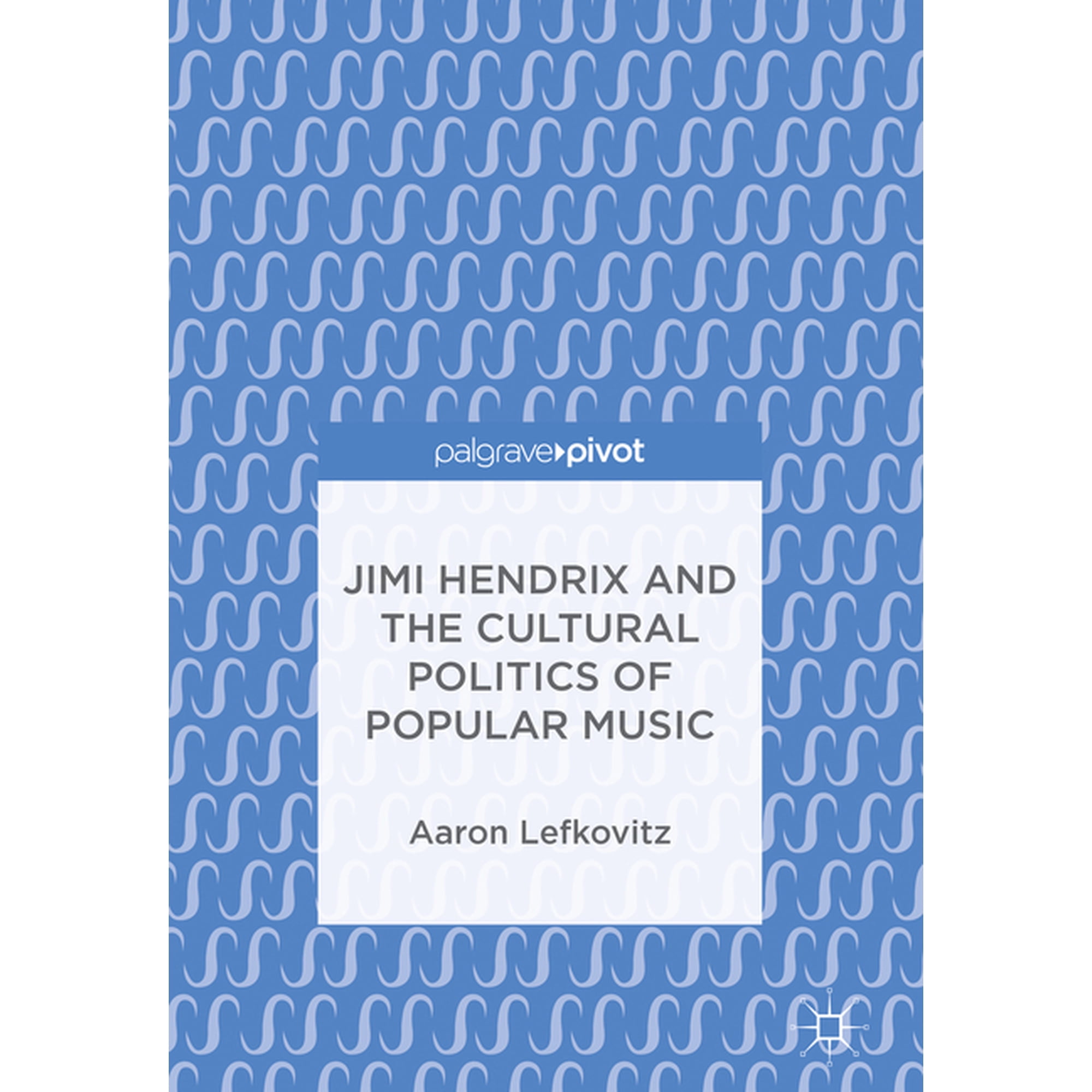 Jimi Hendrix and the Cultural Politics of Popular Music (Hardcover)