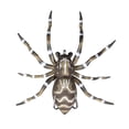 thumbnail image 1 of Lunkerhunt Phantom Spider, Dock 2", 1/4oz, Realistic Fishing Lure, 1 of 6