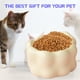 thumbnail image 5 of Cuencos para gatos, cuencos elevados de cerámica para comida para gatos, cuenco elevado inclinado antivómitos, protege la columna vertebral de las mascotas, 5 of 5