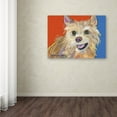 thumbnail image 3 of Trademark Fine Art "Pee Wee" Canvas Art by Pat Saunders-White, 3 of 3