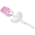 thumbnail image 3 of 24K Gold Crystal Rose Dipped Flower Valentine's Day Love Gift (Silver Rod Pink Flower), 3 of 8