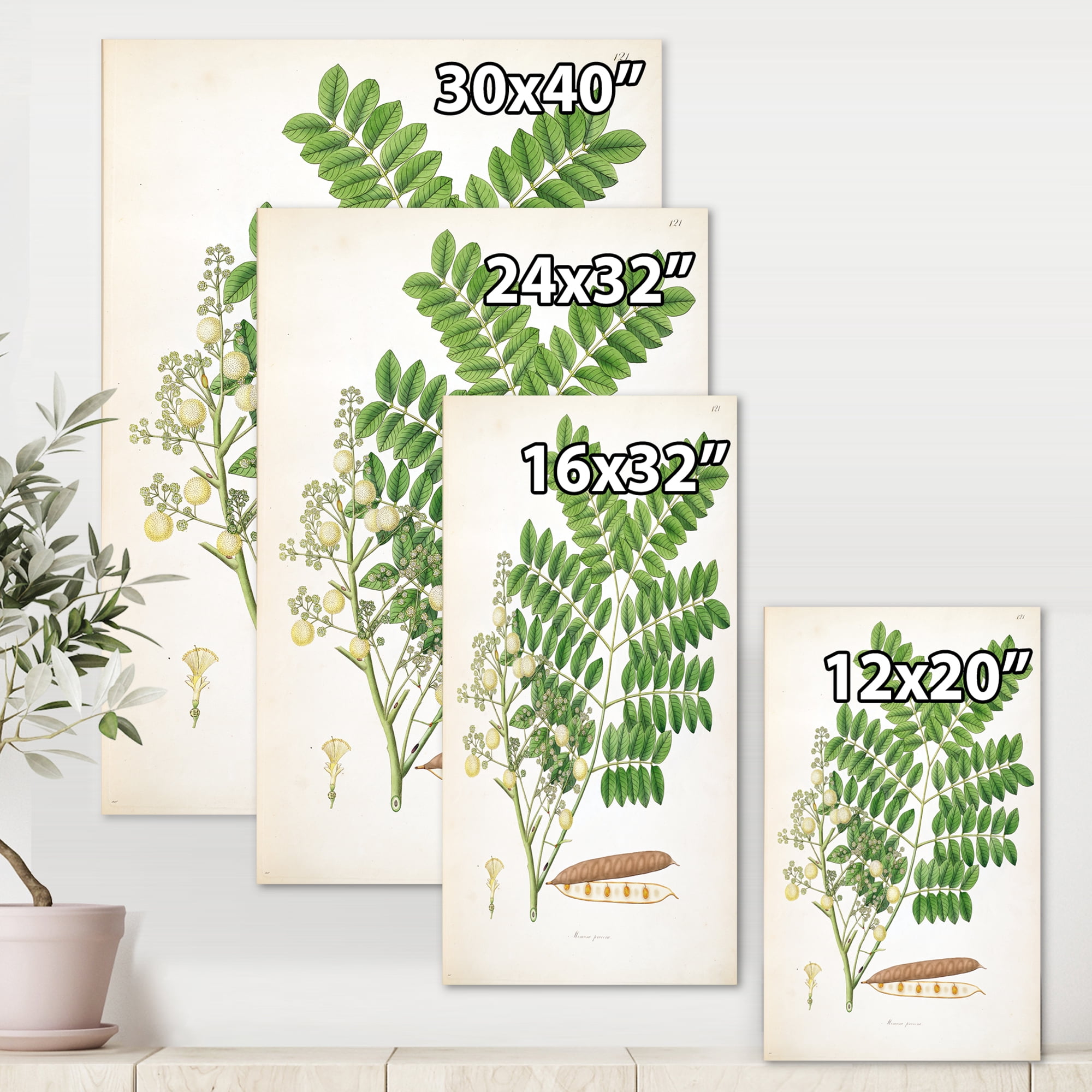 Designart ' Ancient Botanicals VII ' Farmhouse Canvas Wall Art Print