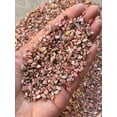 thumbnail image 3 of WHOLESALE Natural Semi Tumbled Rhodochrosite Gemstone Chips, Crushed Mini Crystals, Undrilled Crystal Chips (Rhodochrosite, 3 Pounds), 3 of 8