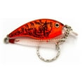 thumbnail image 2 of Ozark Trail Hard Plastic Fishing Lure Keychain - Assorted, 2 of 16