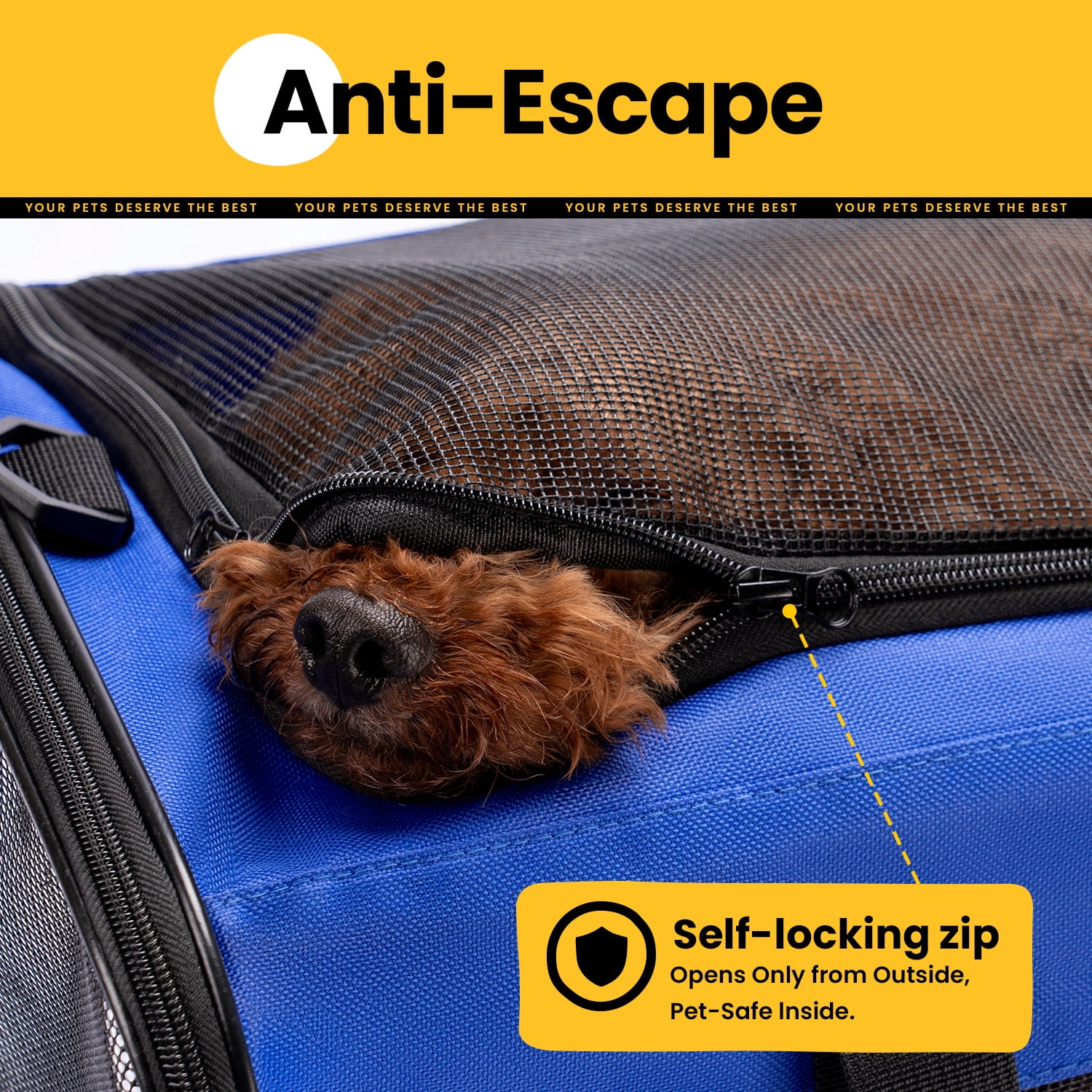 Conlun Cat Dog Carrier,Soft-Sided Pet Carriers for Dogs with 4-Sided Mesh,Cat Transport for Large Cats Small Dog Up to 9.9Kg,Collapsible Dat Travel Carrier-L,Blue