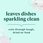 (2 pack) Seventh Generation Dish Soap Liquid, Free & Clear, 19 fl oz