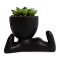 thumbnail image 1 of Planta Artificial con Maceta de Cerámica Negro, 1 of 4
