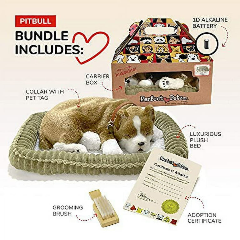 Perfect petzzz carrier hotsell