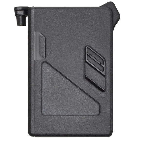 DJI FPV Batterie de Vol Intelligente, jusqu'à 20 Minutes de Vol, 259 g, pour DJI FPV