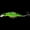 2PC COLOR6, variant on 2PC Durable Hard Bionic Bait Fishing Lures Jigs 2.2g Floating Micro bait Small Minnow Small Fat Plastic Fishing Gear Product